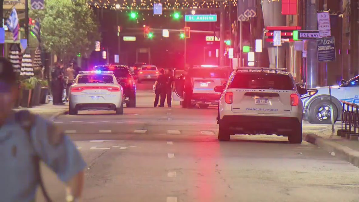 Detroit Police task force prioritizing car break-ins Downtown