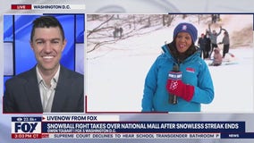 National Mall snowball fight breaks out in DC