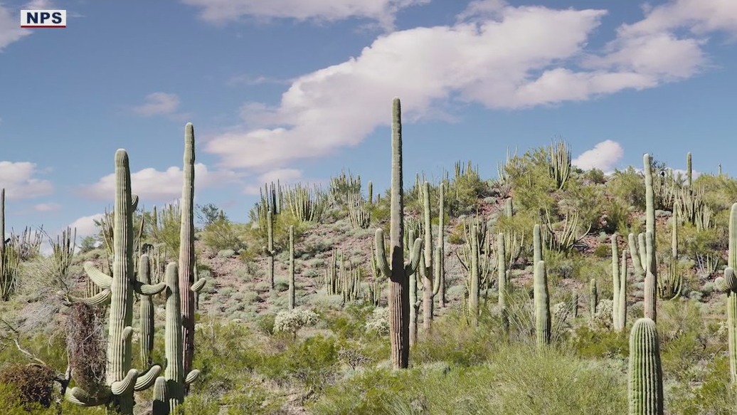 Baby, toddler abandoned in Arizona desert