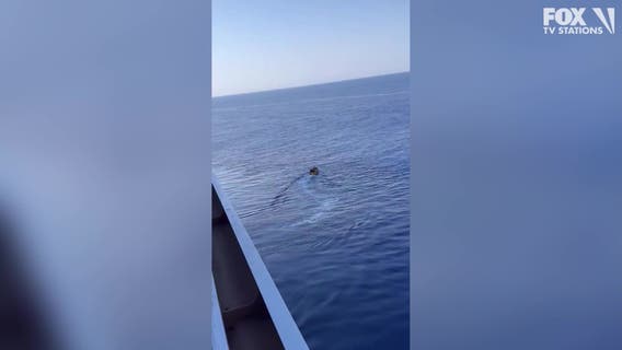 Royal Caribbean Harmony of the Seas passenger, 12, dies after falling from balcony: report