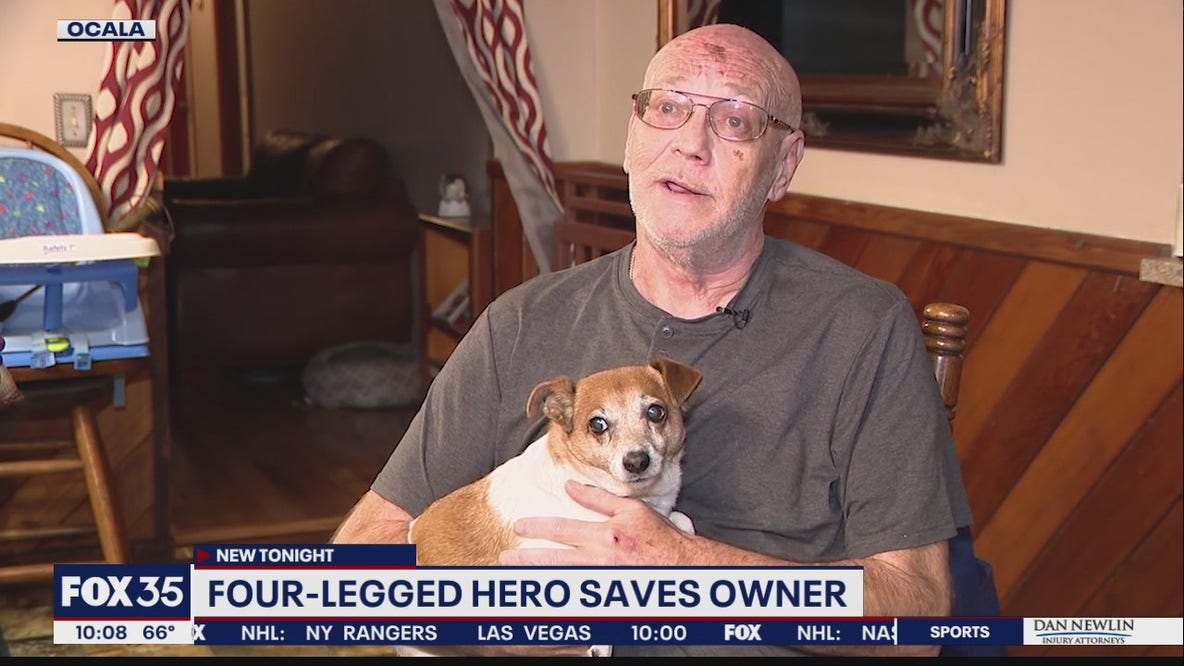 Four-legged hero alerts owner to house fire