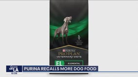 Purina recalls more dog food