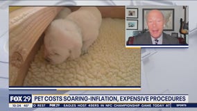 Cashing In: Pet costs soaring
