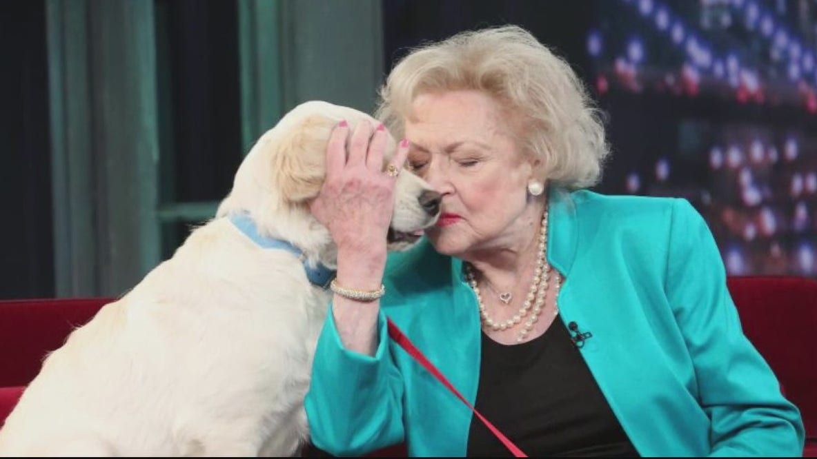 Thousands of dollars in donations pour into Metro Detroit animal rescues in honor of Betty White