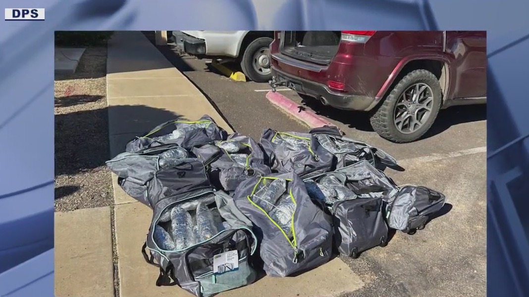 AZ troopers seize more than $1M worth of drugs