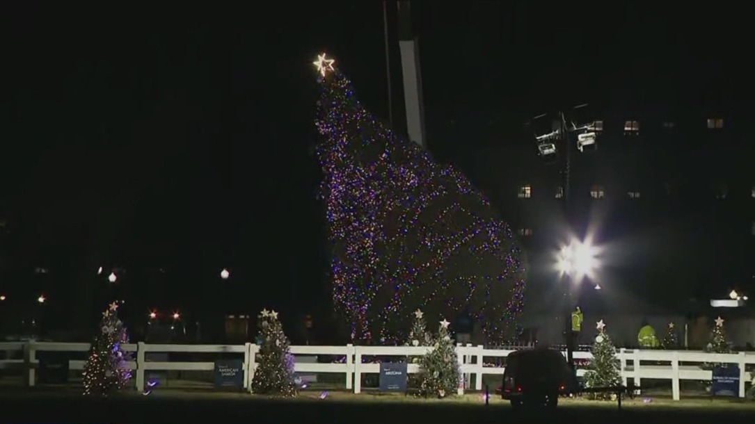 White House Christmas tree falls over
