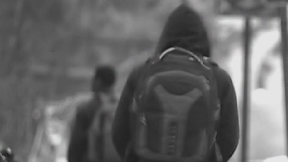 Risk factors for youth violence: How should society respond?