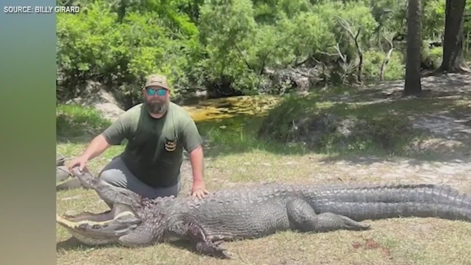 'Dangerous alligator' attacks couple's dog