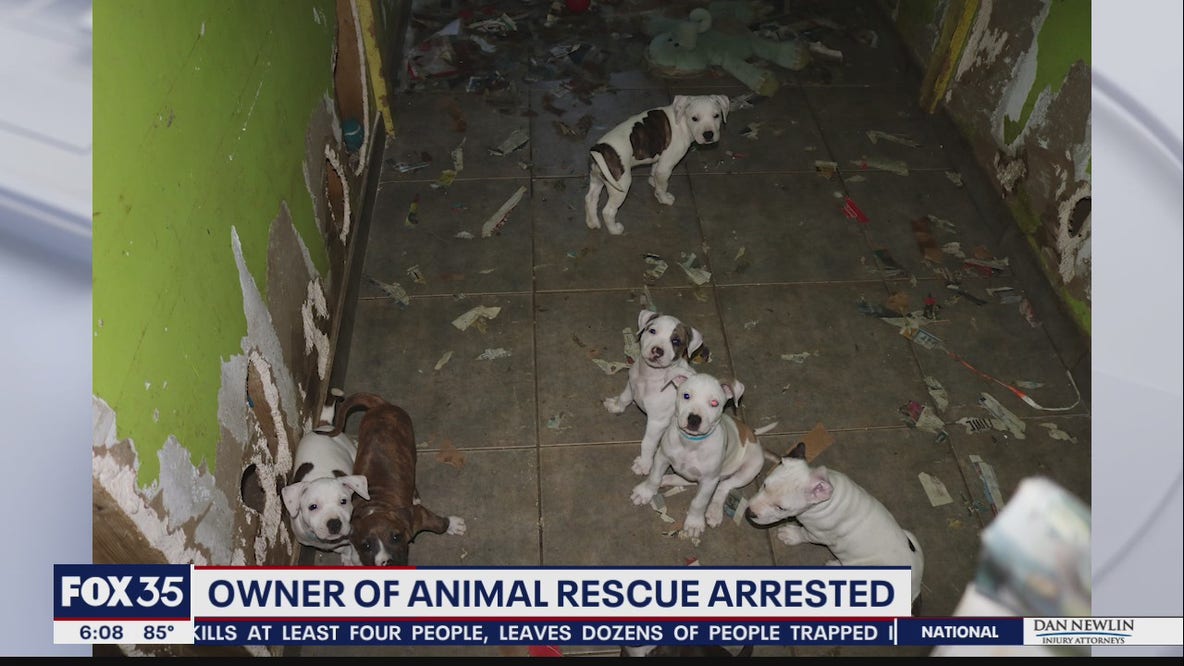 Owner of animal rescue arrested