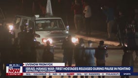 Hostage release: Rescue organization breakdown