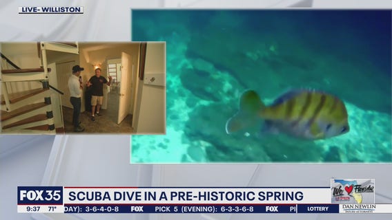 New glamping sites at Devil's Den Spring