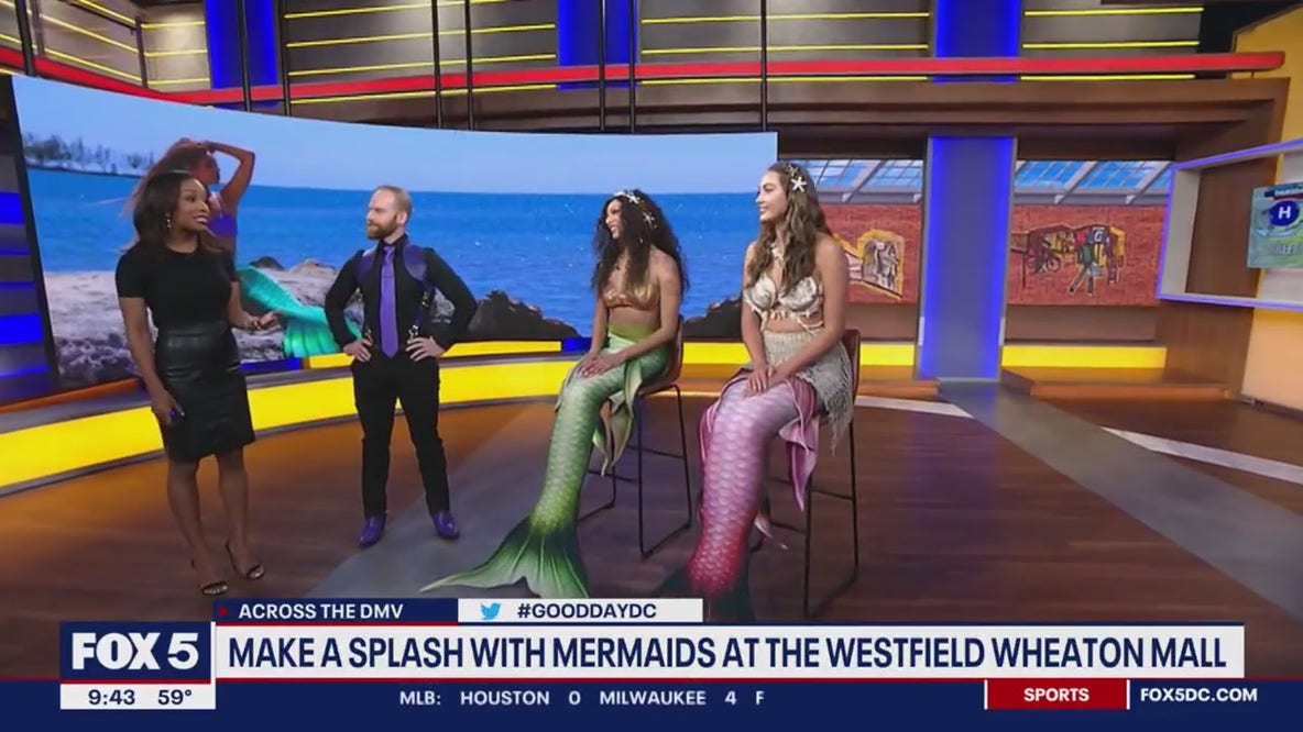 Make a splash with real mermaids