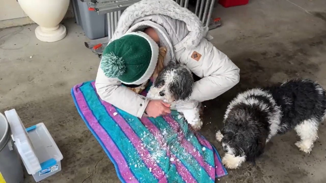FOX 9's Karen Scullin tries the whisk trick to get snow off your dog's