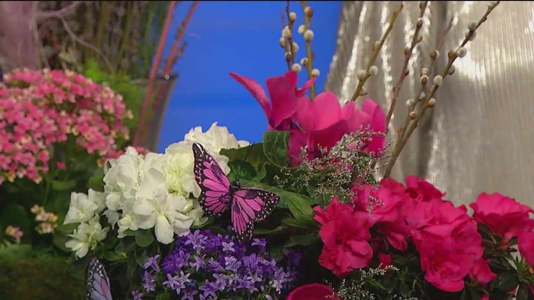 Fleurs de Ville floral exhibition returns to Chicago