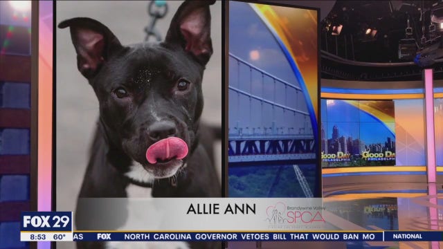 FurEver Home: Mother's Day