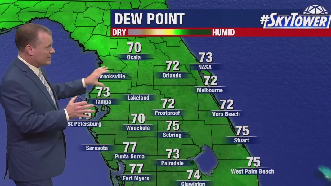 Tampa weather | slightly drier air in store
