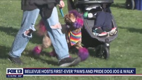 Bellevue hosts Paws and Pride Dog Jog & Walk