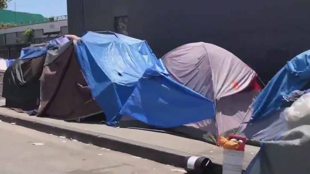 Potential audit into LA's homeless services
