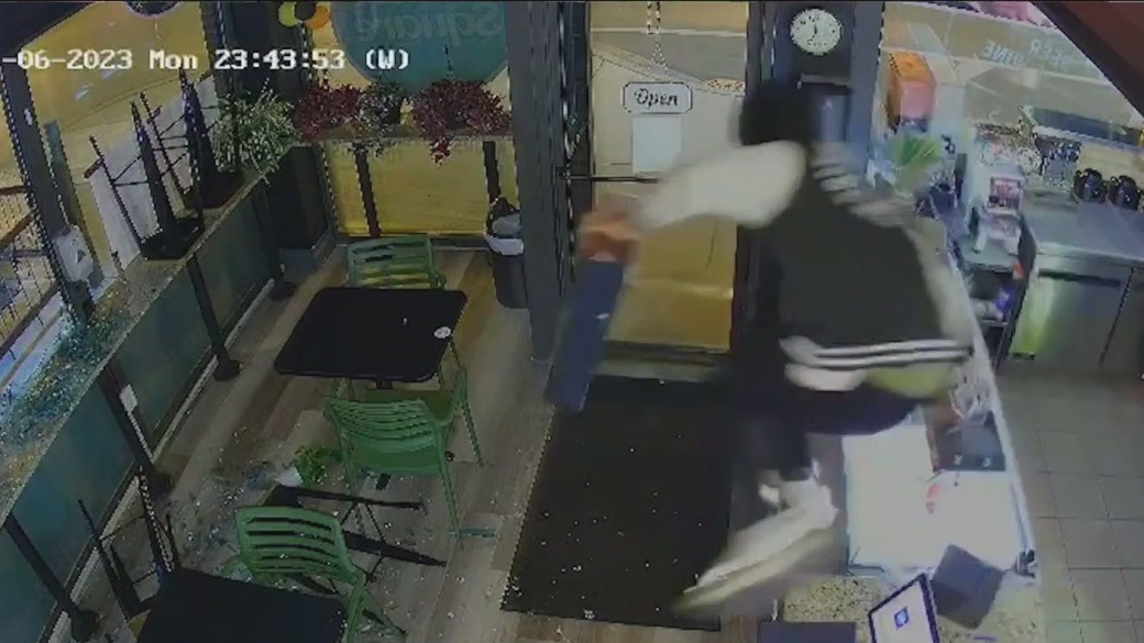 Video captures offender throwing cinder block into Chicago business, stealing property