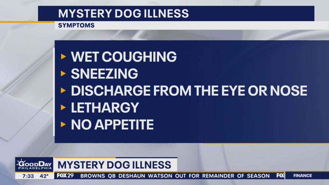 Mystery dog illness spreading across the US
