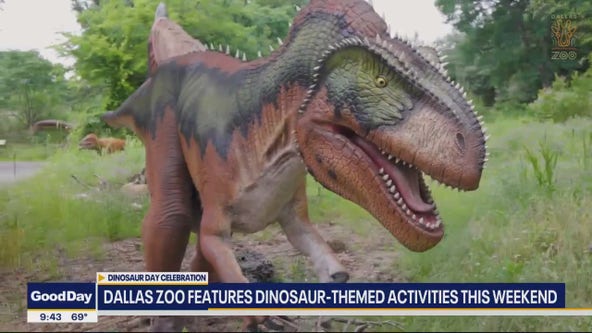 Dinosaur fun comes to Dallas Zoo this weekend