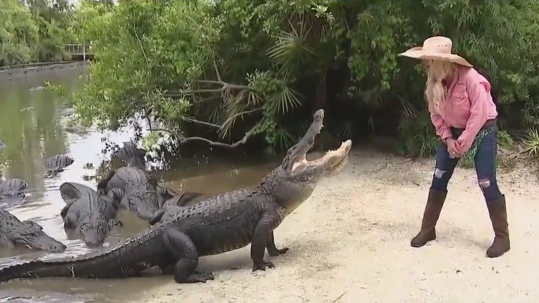 Gatorland crocodile hunter looking for love