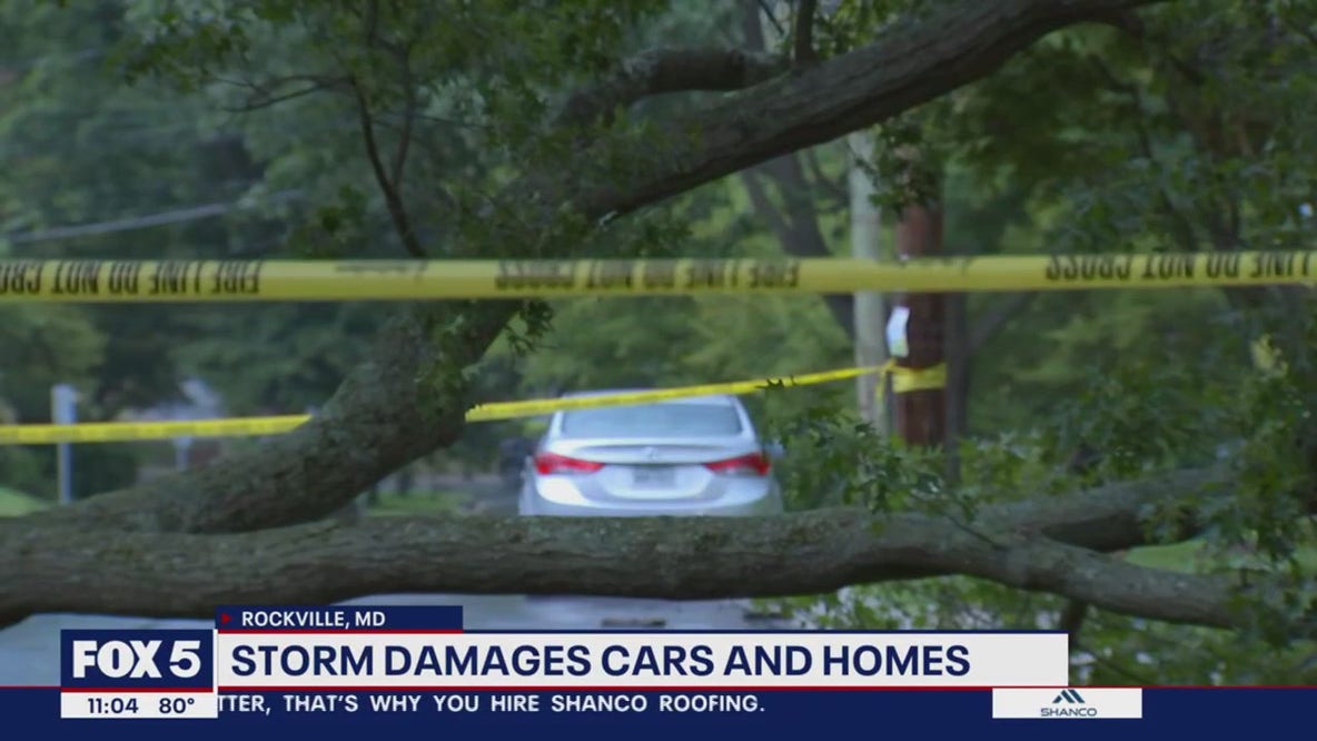 Storm damages cars and homes across DC region