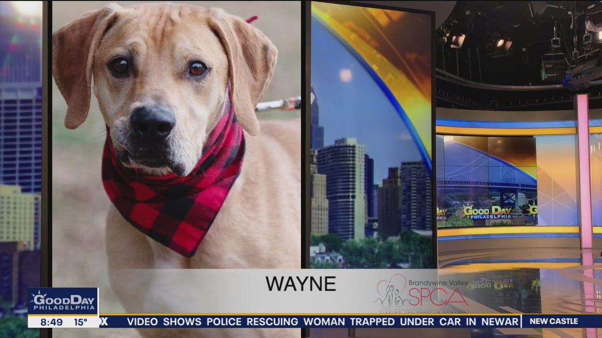 FurEver Home: Jan. 22, 2022