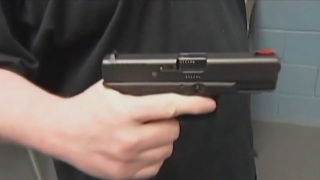 Newsom proposes 28th Amendment: Gun Access