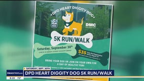 DMC and DPD Host Dog-Friendly 5k on September 30