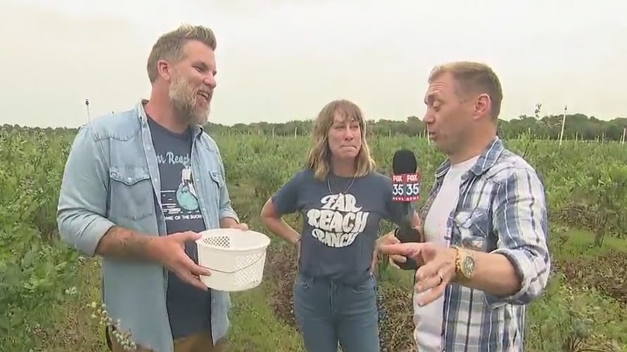 FOX 35's David Martin kicks off blueberry picking season