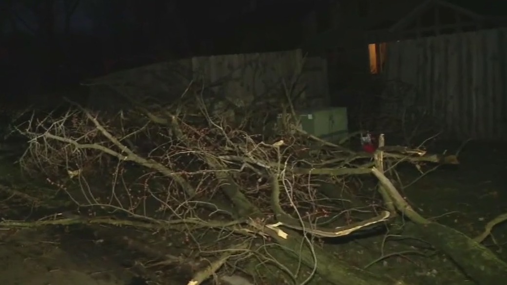 Possible tornadoes shred through Chicago's west suburbs