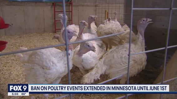 Human bird flu infection case reported in Barron Co., WI