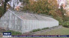 Old greenhouse turned into a place to grieve those lost by violence through art in Swarthmore
