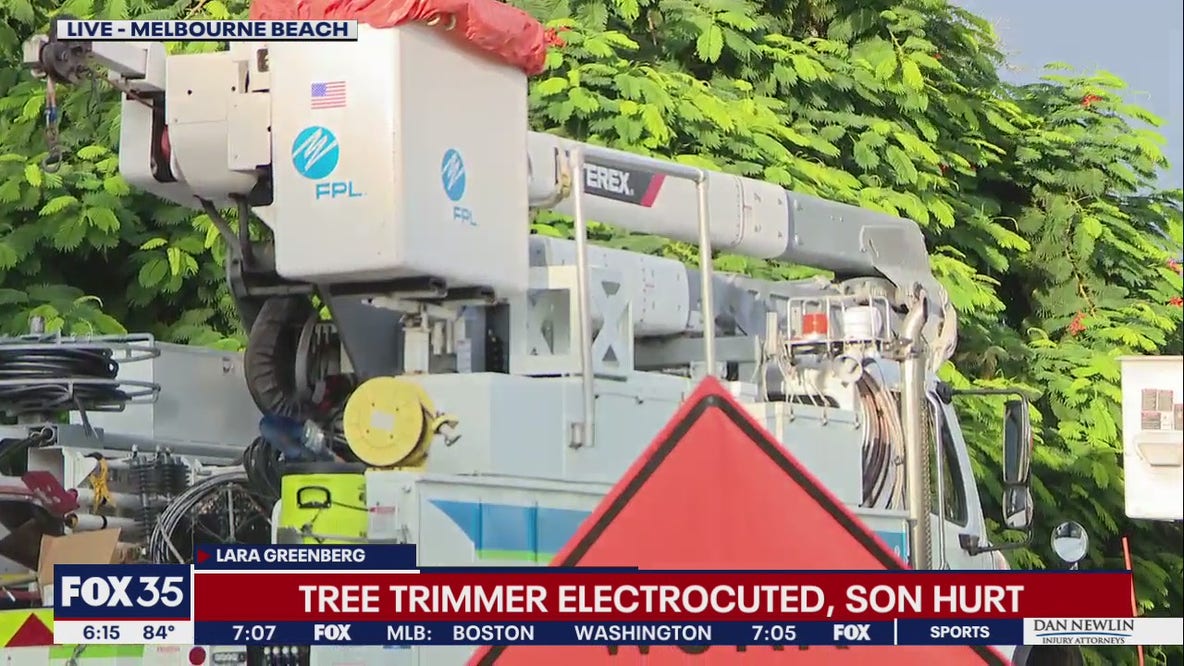 Tree trimmer electrocuted, teenage son injured