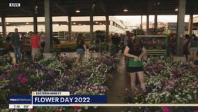 Flower Day Live Fox2 News Weekend