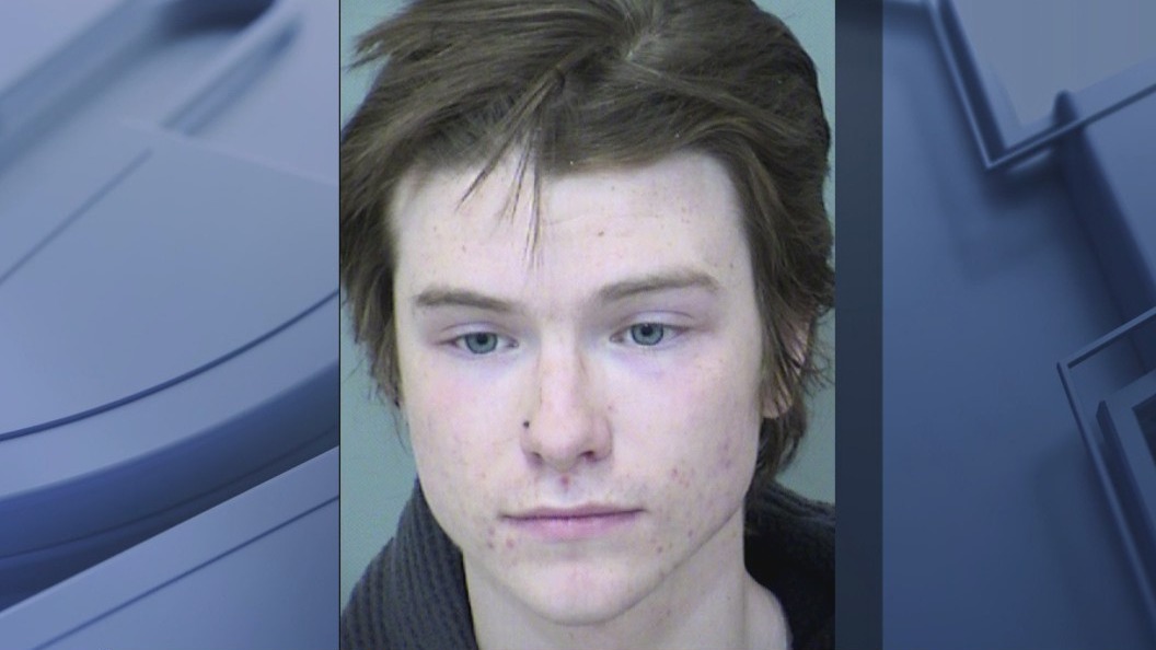 18-year-old arrested in DUI-suspected crash that killed Phoenix mother