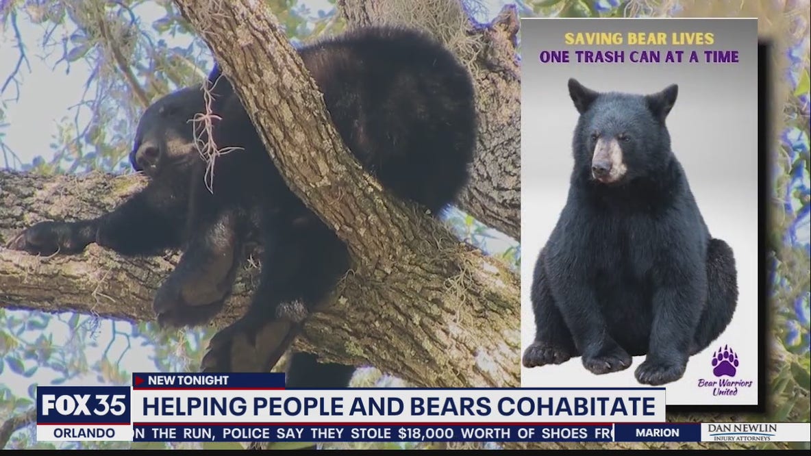 Woman creates 'Bear Care' packages to help humans coexist with animals