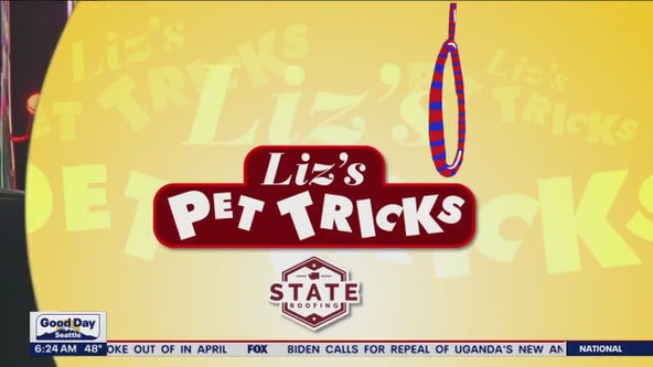 Liz's Pet Tricks for Tuesday, May 30