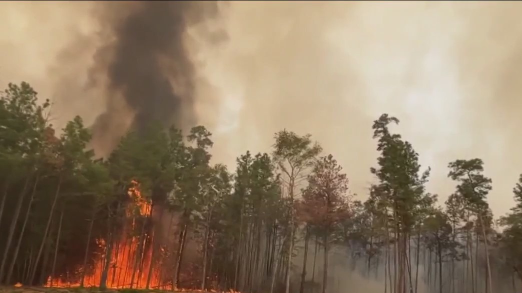 Walker County wildfire grows, 40% contained