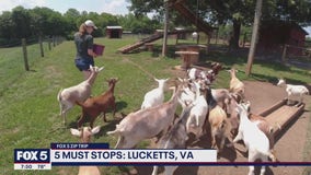 FOX 5 Zip Trip Lucketts: 5 Must Stops!