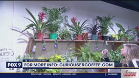 Curious plant, coffee and pizza shop opens in Apple Valley