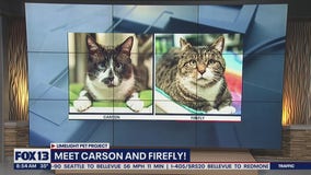 Pet(s) of the Week: Carson and Firefly