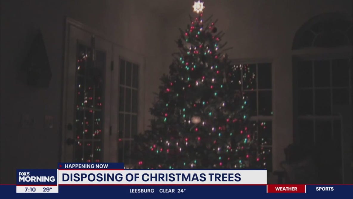 What to know about recycling your Christmas tree