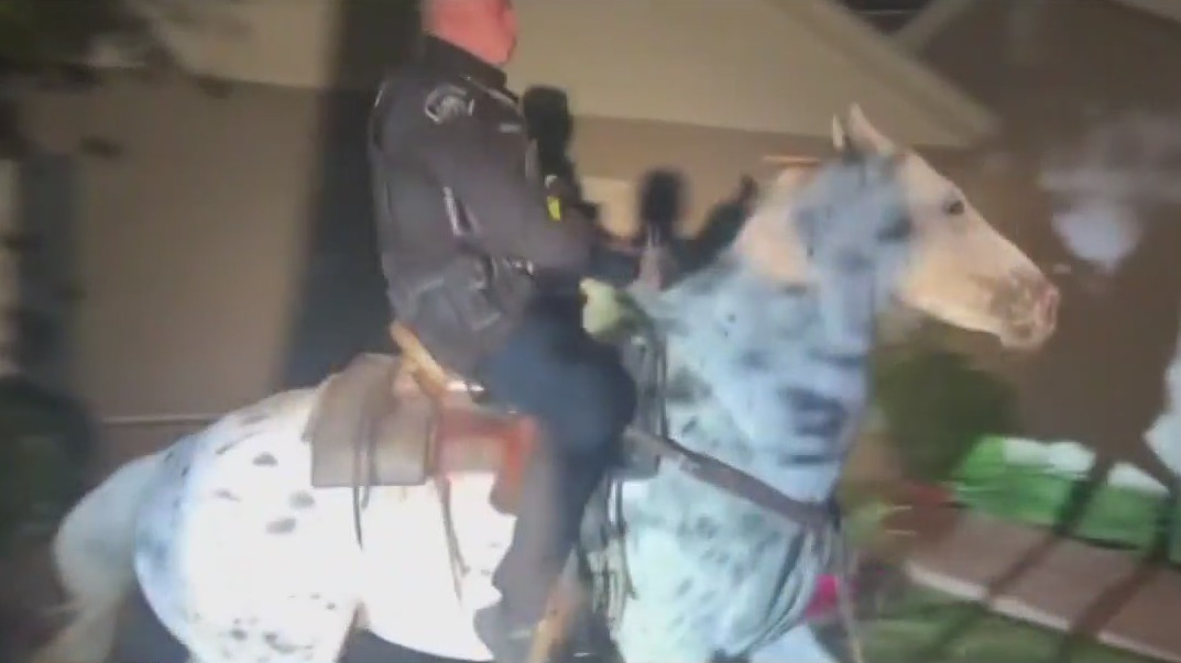 Burbank police officer rescues lost horse