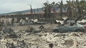 Hawaii wildfire recovery continues