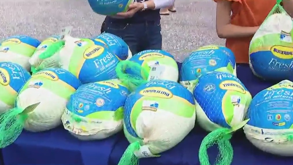 Nearly 700 families get free turkeys