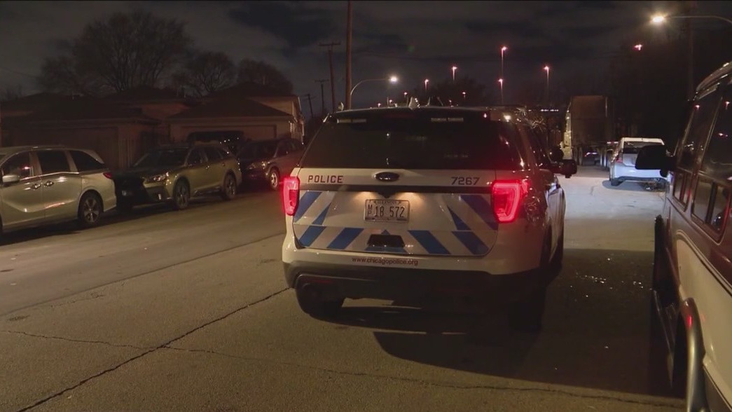 Shots fired at Chicago police overnight in McKinley Park