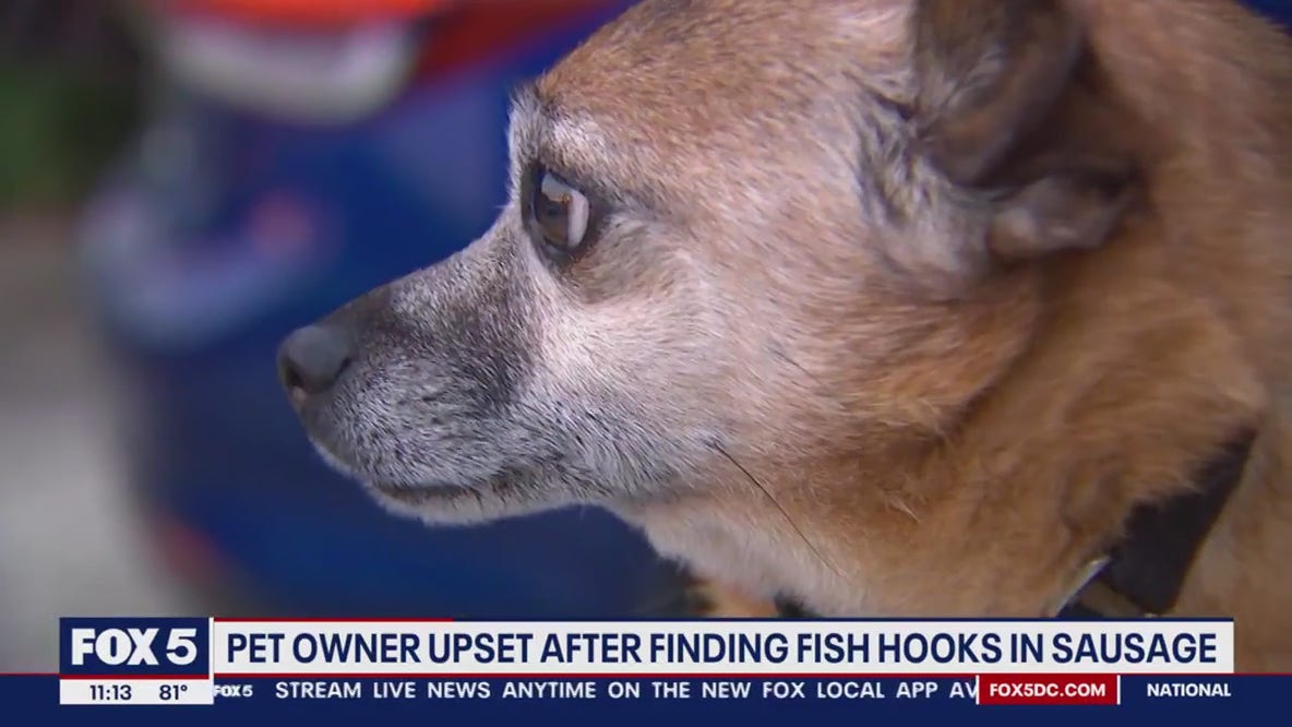 Alexandria woman upset after dog bites sausage with fishhooks inside