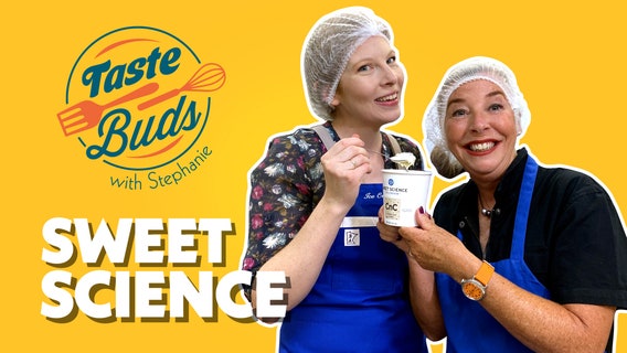 The sweet science of ice cream: Taste Buds